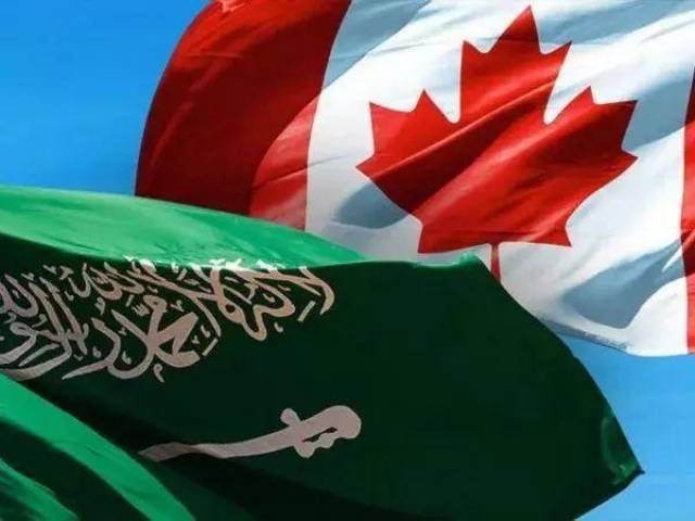 关于加拿大队不敌沙特阿拉伯队,未能获胜的信息 关于加拿大队不敌沙特阿拉伯队,未能获胜的信息